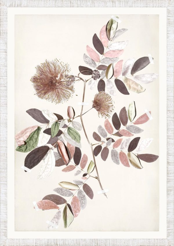 FLORA SERIES - Image 7